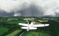 Flying from Brown Shutter in a Menestrel.